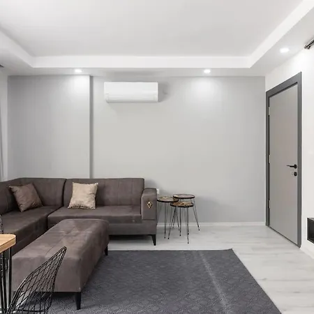 3-Sehir Merkezinde Bueyuek Daire 3 Yatak Odasi